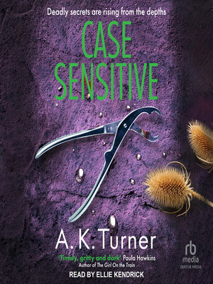 cover image of Case Sensitive